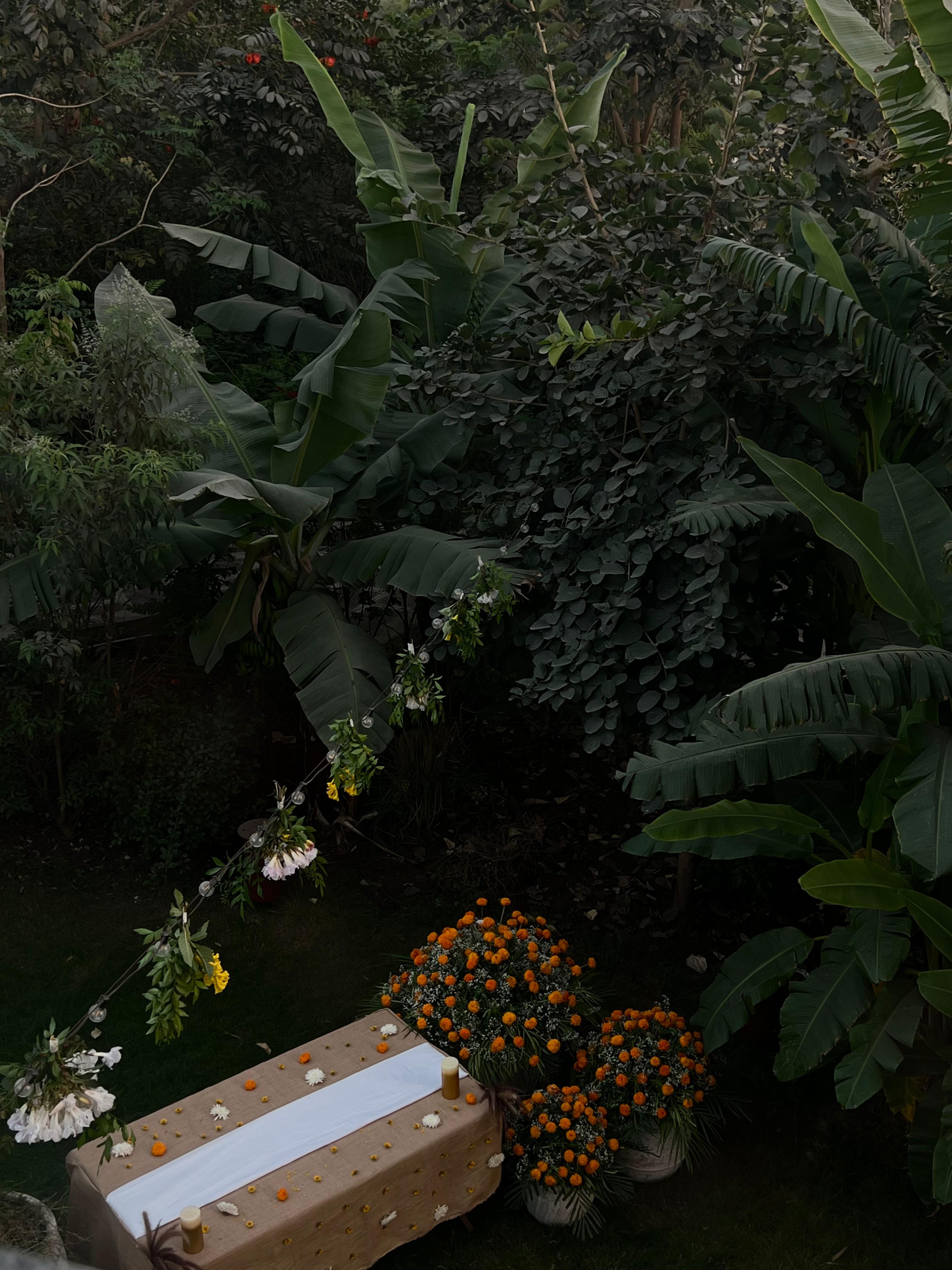 Marigold and white flower arrangement in the garden at dusk