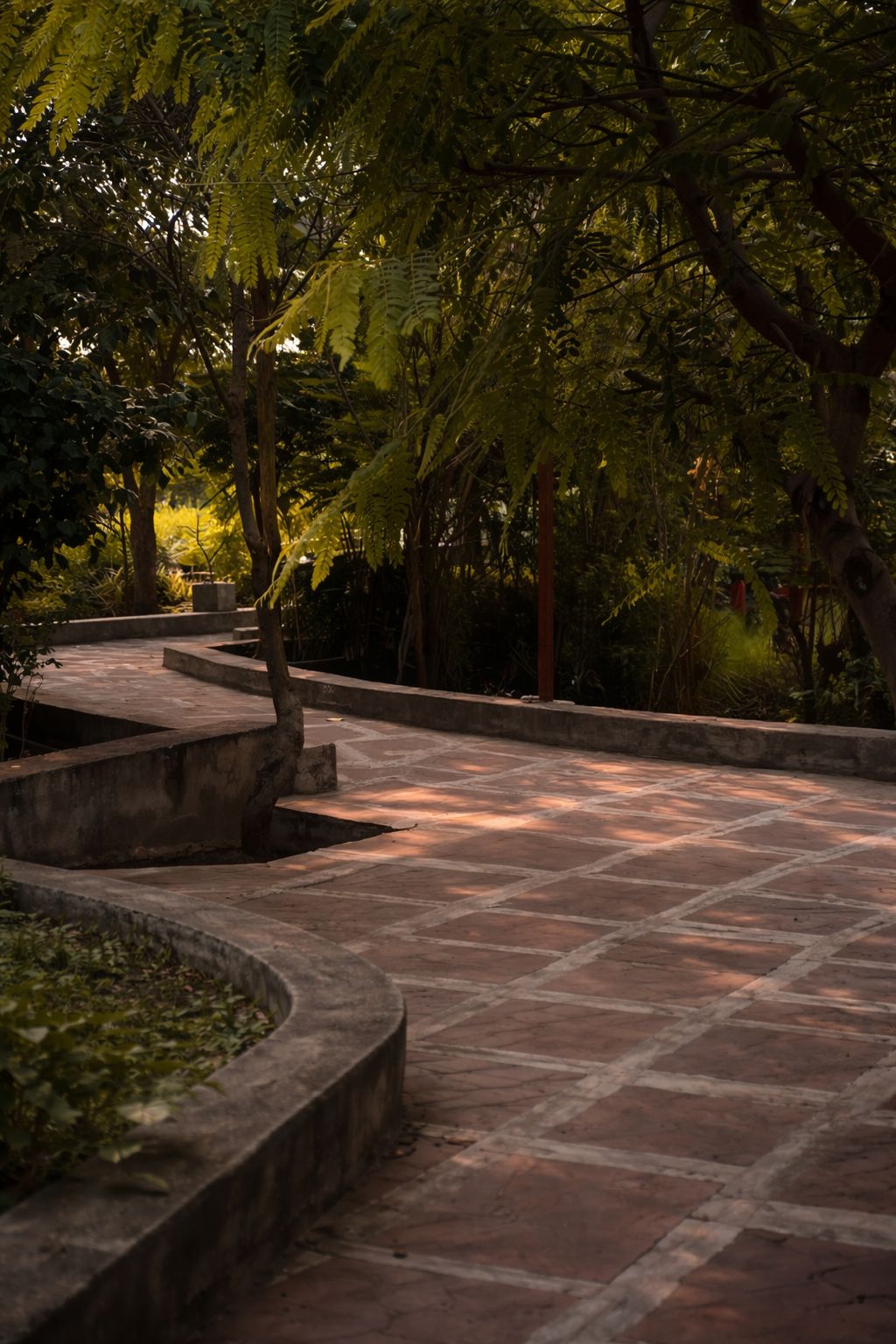 Stone path winding through trees in dappled light