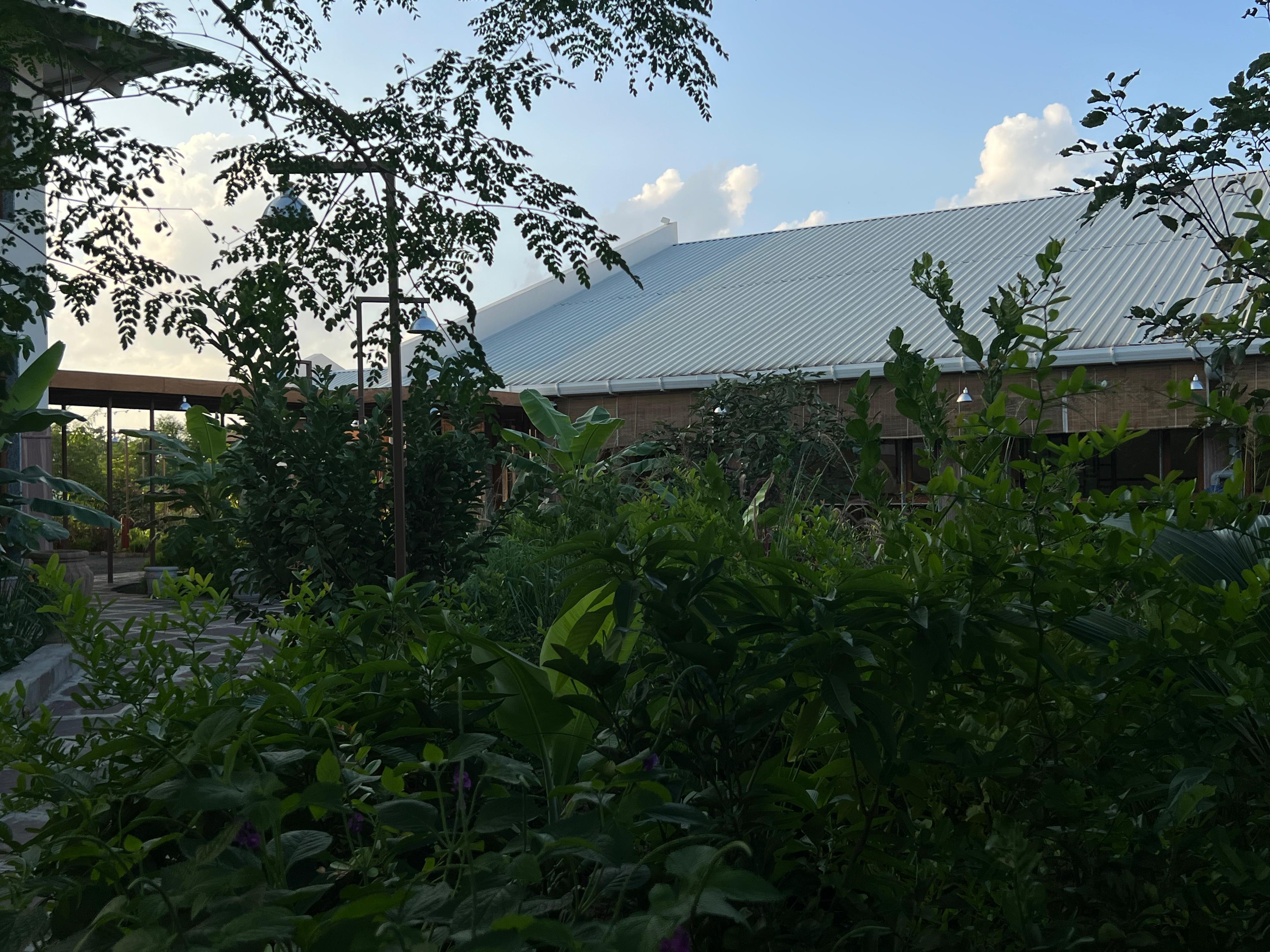 Pavilion roof seen through garden greenery under a blue sky