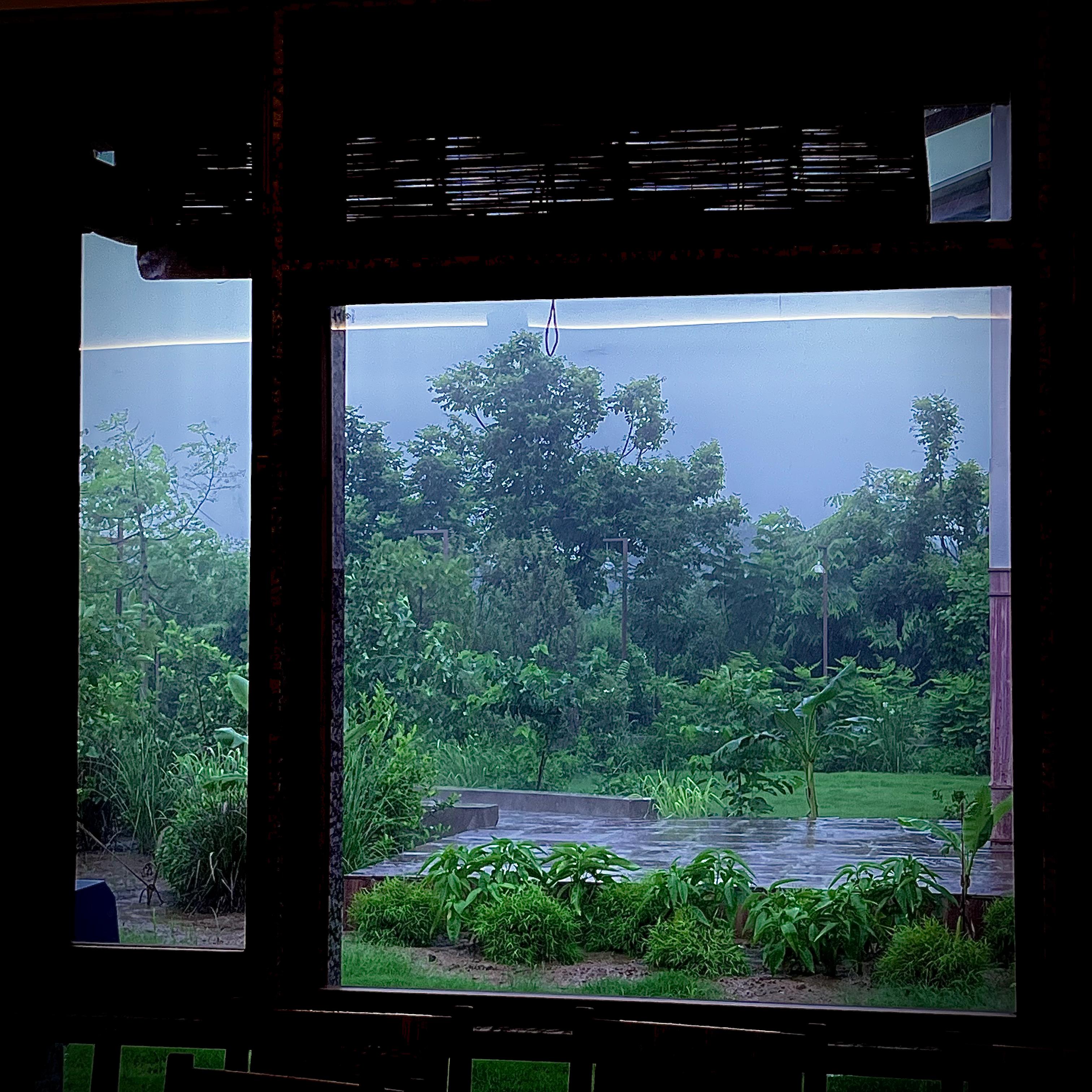 View through a window of the garden in the rain