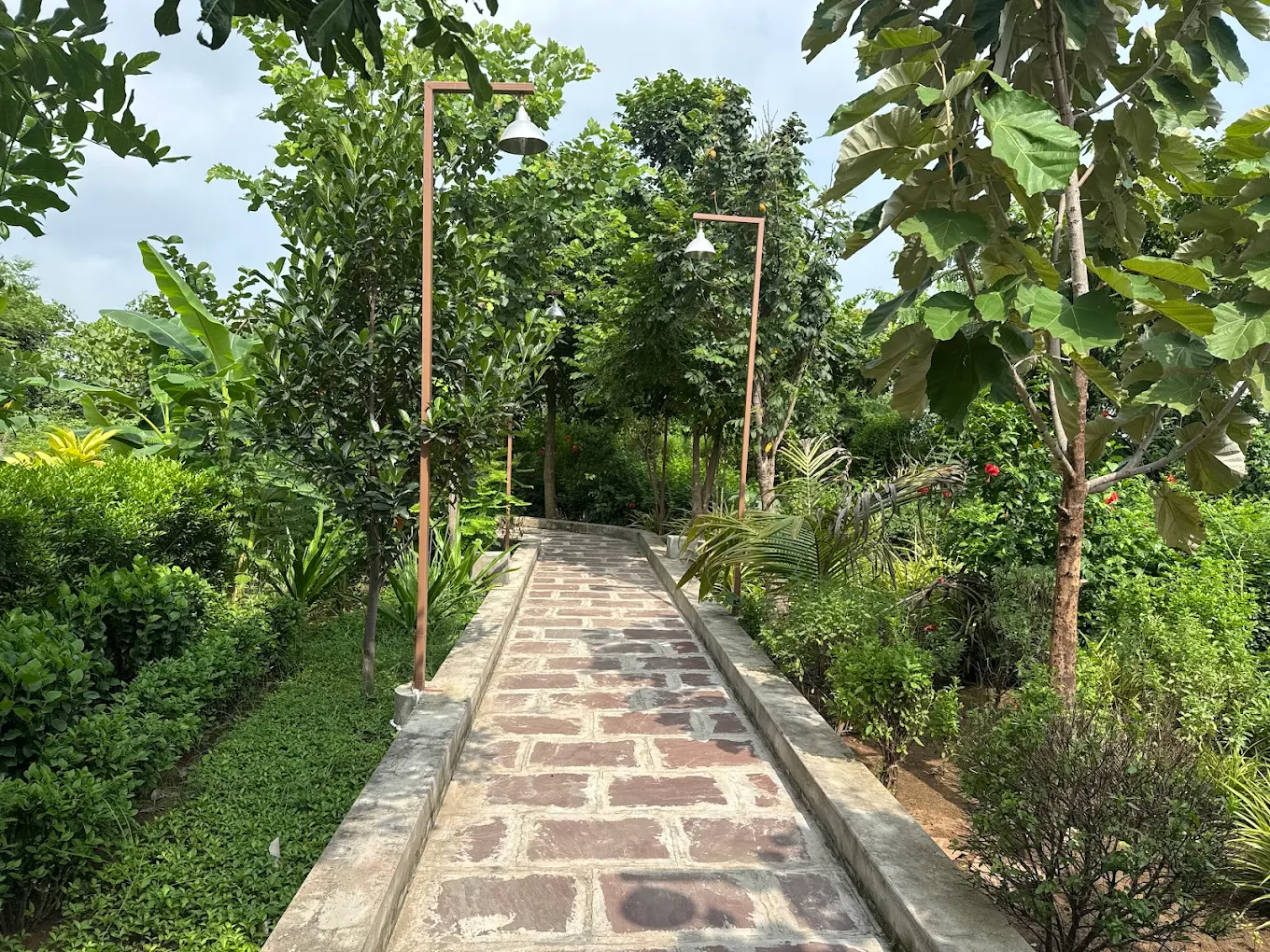 Garden path